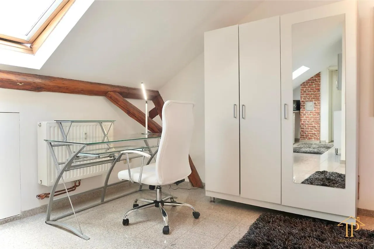 Gemuetliche, Zentrale Und Schoene Loft Wohnung Im Dachgeschoss バンベルク 0*,  ドイツ